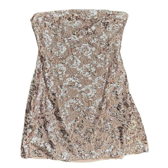 Free People Night Gaze Mini Dress Pink Lace & Sequins Size XL New without tags - Picture 1 of 7